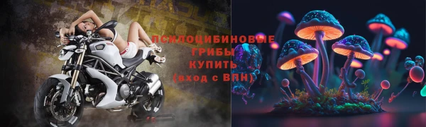 винт Володарск